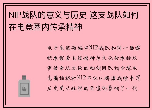 NIP战队的意义与历史 这支战队如何在电竞圈内传承精神