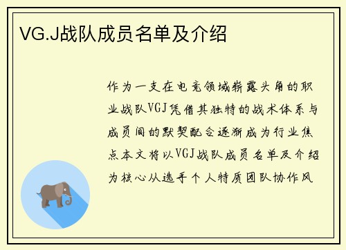 VG.J战队成员名单及介绍