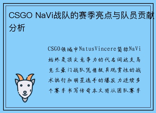 CSGO NaVi战队的赛季亮点与队员贡献分析